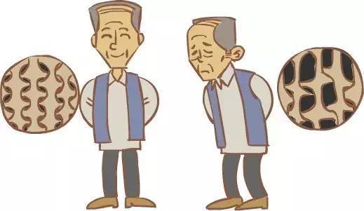 beplay体育官网网页版
产品百科:骨密度检查的5大禁忌症